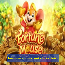 besouro rinoceronte brasileiro